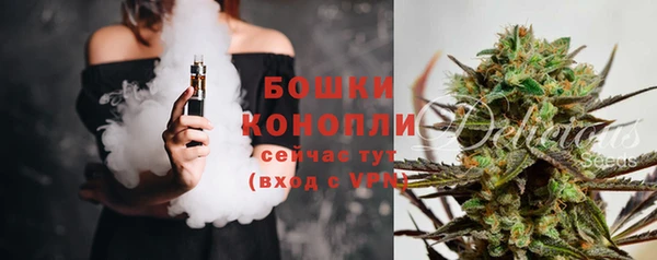 хмурый Мегион