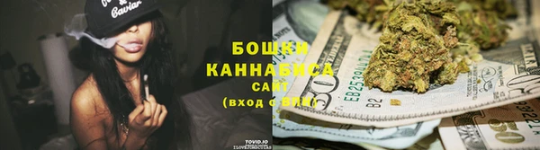 хмурый Мегион