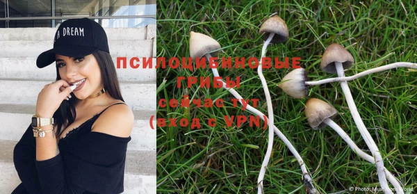 a pvp Медвежьегорск